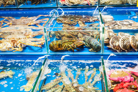 品味海洋珍馐 日本帝王蟹海鲜店的水产品魅力