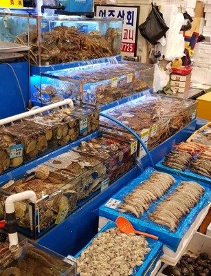 鹭梁津水产市场的鲜活时刻 第10张照片后的渔香与故事