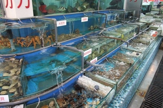 海鲜水产批发生意全攻略 从零到盈利的实用指南